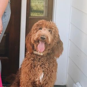 Meet your Posher, Jay